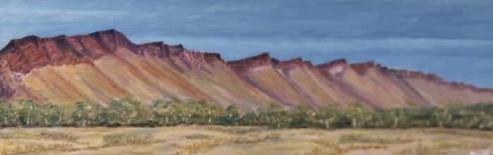 #304 Western MacDonnell Ranges